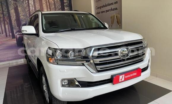 Buy Used Toyota Land Cruiser White Car in Karasburg in Karas