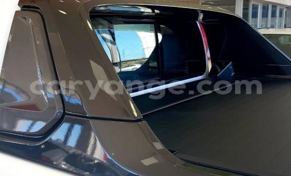 Acheter Occasion Voiture Toyota Hilux Gris à Karasburg, Karas Acheter Occasion Voiture Toyota Hilux Gris à Karasburg, Karas