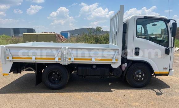 Acheter Occasion Utilitaire Isuzu FTR 850 Blanc à Windhoek, Namibie Acheter Occasion Utilitaire Isuzu FTR 850 Blanc à Windhoek, Namibie