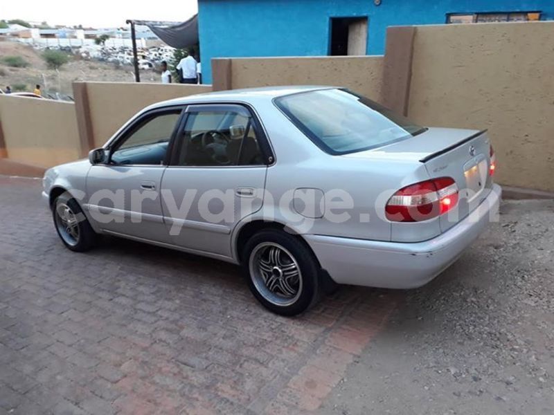 Big with watermark 46184602 1930726380315617 8911647240406171648 n