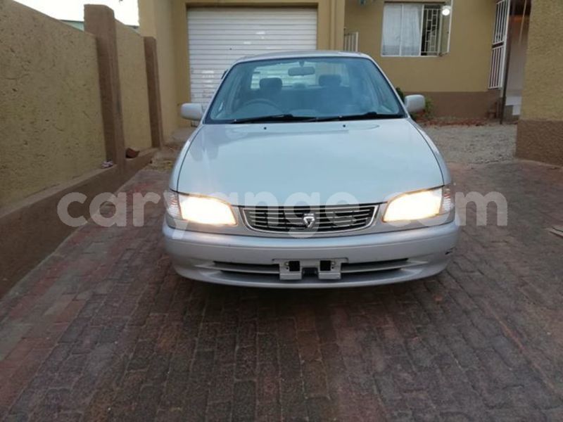 Big with watermark 46384960 10215822020417582 3570141128999043072 n