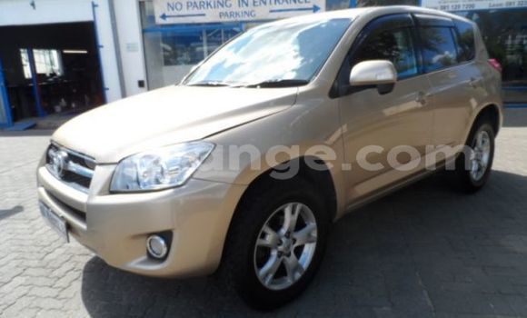 Buy Used Toyota RAV4 Silver Car in Windhoek in Namibia