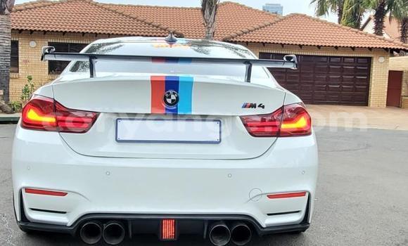 Buy Used BMW M4 White Car in Aranos in Hardap Buy Used BMW M4 White Car in Aranos in Hardap
