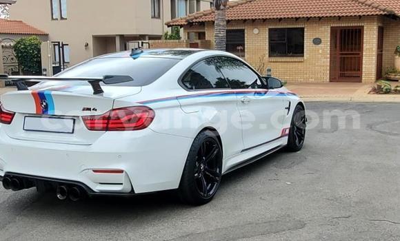 Buy Used BMW M4 White Car in Aranos in Hardap Buy Used BMW M4 White Car in Aranos in Hardap