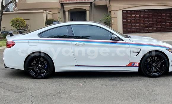 Buy Used BMW M4 White Car in Aranos in Hardap Buy Used BMW M4 White Car in Aranos in Hardap