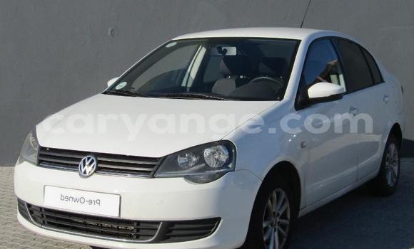 Buy Used Volkswagen Polo White Car in Bethanien in Karas