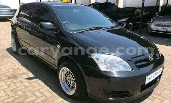 Buy Used Toyota Runx Black Car in Windhoek in Namibia