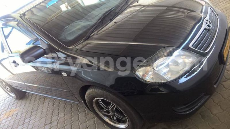 Big with watermark 13580476 1249921871699238 3874255535737810779 o