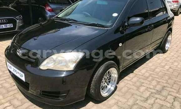 Buy Used Toyota Runx Black Car in Windhoek in Namibia Buy Used Toyota Runx Black Car in Windhoek in Namibia