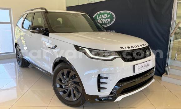 Buy Used Land Rover Discovery Sport White Car in Windhoek in Namibia Buy Used Land Rover Discovery Sport White Car in Windhoek in Namibia