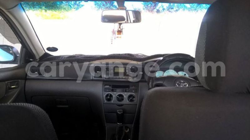 Big with watermark 13585184 1249921675032591 2343694957496229670 o