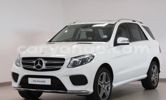 Buy Used Mercedes-Benz GLE White Car in Windhoek in Namibia