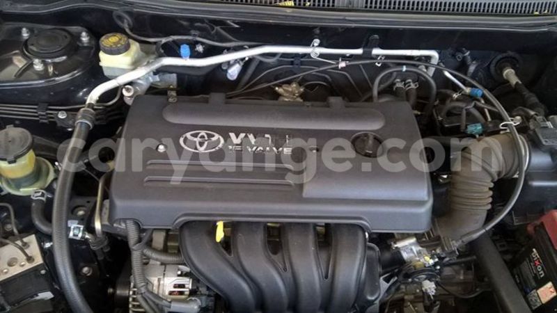 Big with watermark 13613506 1249922048365887 2824219320990706101 o