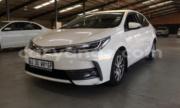 Acheter Occasion Voiture Toyota Corolla Blanc à Windhoek, Namibie
