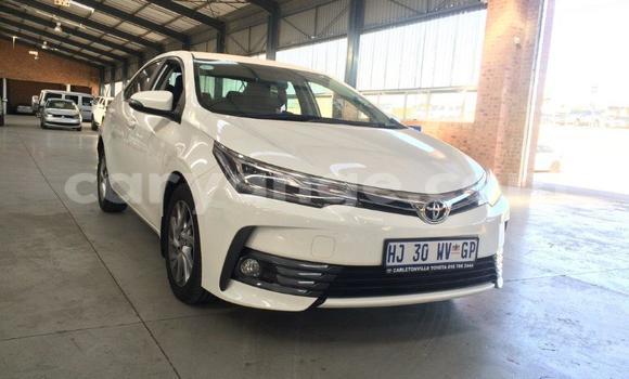 Buy Used Toyota Corolla White Car in Windhoek in Namibia Buy Used Toyota Corolla White Car in Windhoek in Namibia