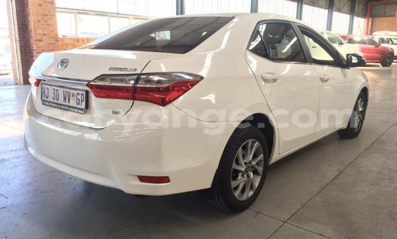 Buy Used Toyota Corolla White Car in Windhoek in Namibia Buy Used Toyota Corolla White Car in Windhoek in Namibia