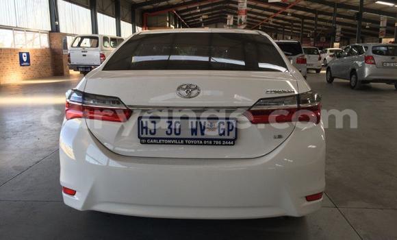 Buy Used Toyota Corolla White Car in Windhoek in Namibia Buy Used Toyota Corolla White Car in Windhoek in Namibia