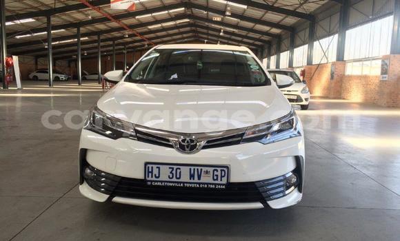 Buy Used Toyota Corolla White Car in Windhoek in Namibia Buy Used Toyota Corolla White Car in Windhoek in Namibia