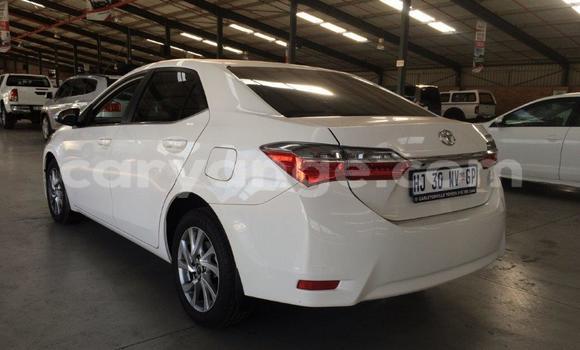Buy Used Toyota Corolla White Car in Windhoek in Namibia Buy Used Toyota Corolla White Car in Windhoek in Namibia
