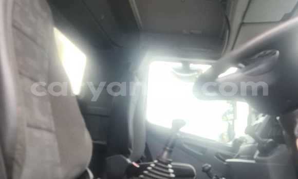 Buy Used Mercedes‒Benz Tipper White Truck in Bethanien in Karas Buy Used Mercedes‒Benz Tipper White Truck in Bethanien in Karas