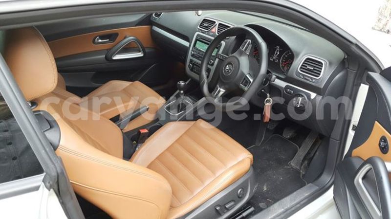 Big with watermark 13584977 10209620331411275 6637430282595758702 o