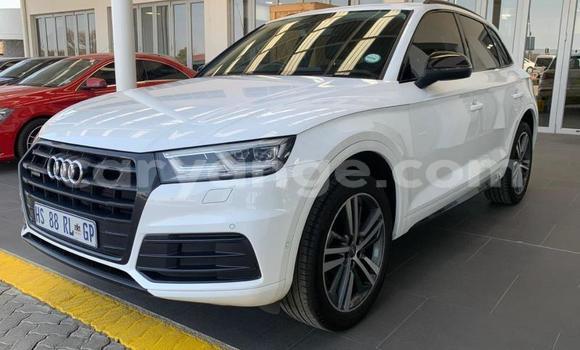 Buy Used Audi Q5 White Car in Windhoek in Namibia