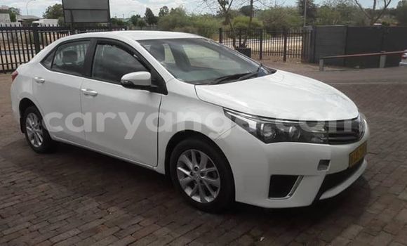 Buy Used Toyota Corolla White Car in Windhoek in Namibia Buy Used Toyota Corolla White Car in Windhoek in Namibia