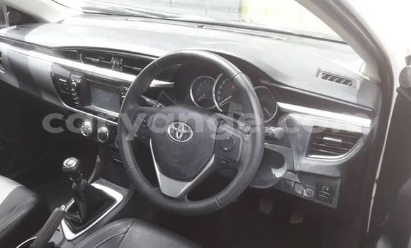 Buy Used Toyota Corolla White Car in Windhoek in Namibia Buy Used Toyota Corolla White Car in Windhoek in Namibia