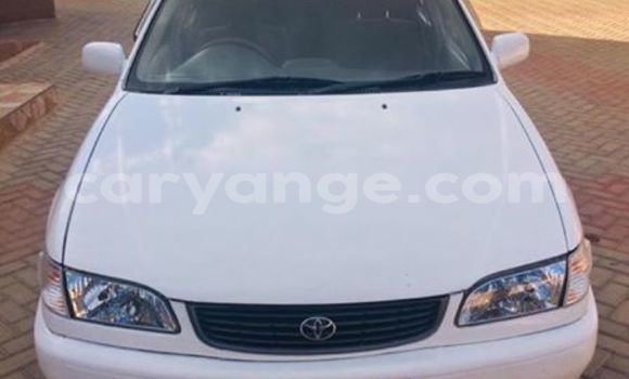 Buy Used Toyota Corolla White Car in Windhoek in Namibia Buy Used Toyota Corolla White Car in Windhoek in Namibia