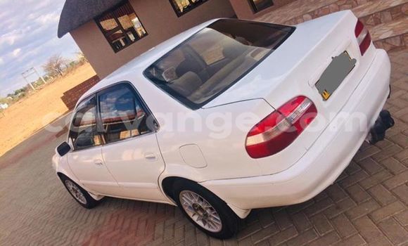 Buy Used Toyota Corolla White Car in Windhoek in Namibia Buy Used Toyota Corolla White Car in Windhoek in Namibia