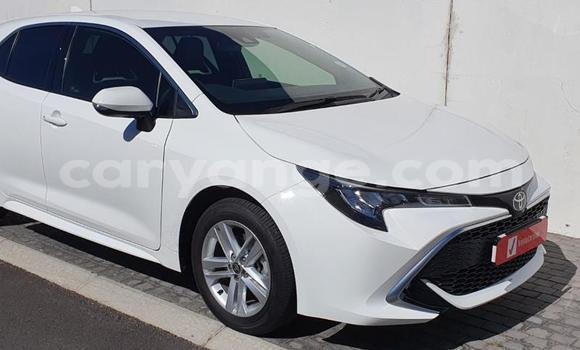 Buy Used Toyota Corolla White Car in Karasburg in Karas