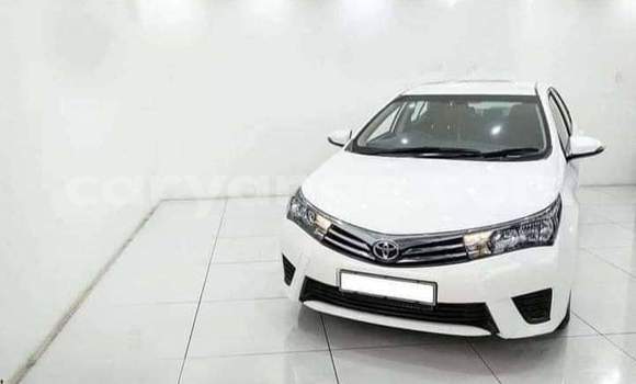 Buy Used Toyota Corolla White Car in Grootfontein in Namibia Buy Used Toyota Corolla White Car in Grootfontein in Namibia