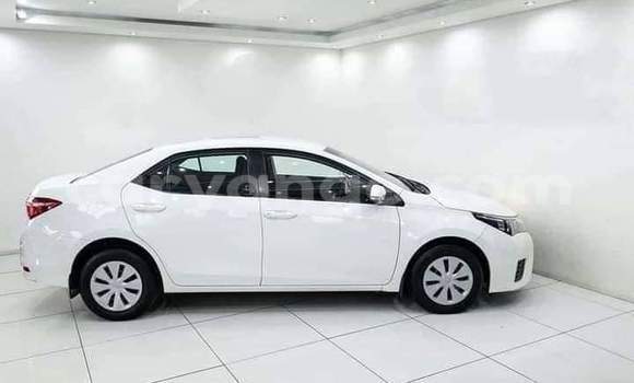 Buy Used Toyota Corolla White Car in Grootfontein in Namibia Buy Used Toyota Corolla White Car in Grootfontein in Namibia