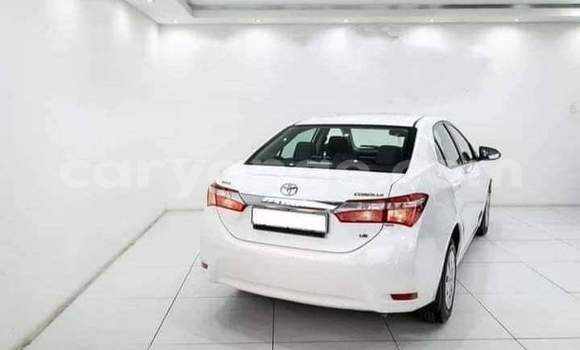 Buy Used Toyota Corolla White Car in Grootfontein in Namibia Buy Used Toyota Corolla White Car in Grootfontein in Namibia