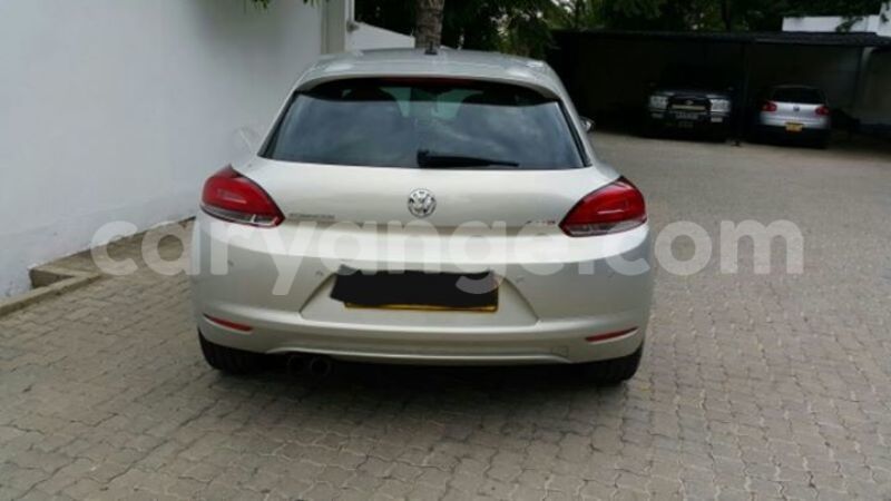 Big with watermark 13612364 10209620327691182 18550693138620768 n