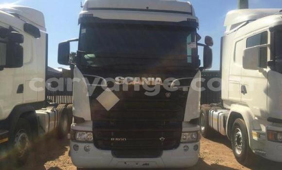 Buy Used Man M2000 White Truck in Windhoek in Namibia Buy Used Man M2000 White Truck in Windhoek in Namibia
