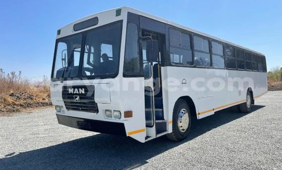 Buy Used Man Silent White Truck in Windhoek in Namibia Buy Used Man Silent White Truck in Windhoek in Namibia