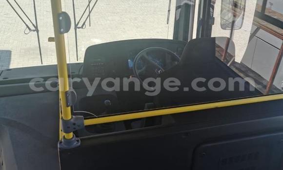 Buy New Mercedes‒Benz 1729 White Truck in Windhoek in Namibia