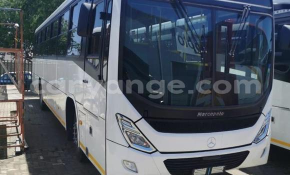 Buy New Mercedes‒Benz 1729 White Truck in Windhoek in Namibia Buy New Mercedes‒Benz 1729 White Truck in Windhoek in Namibia