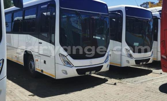 Buy New Mercedes‒Benz 1729 White Truck in Windhoek in Namibia Buy New Mercedes‒Benz 1729 White Truck in Windhoek in Namibia