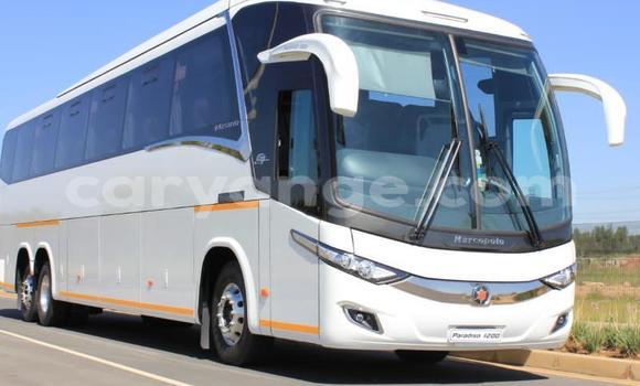 Buy New Mercedes‒Benz 1213 White Truck in Windhoek in Namibia