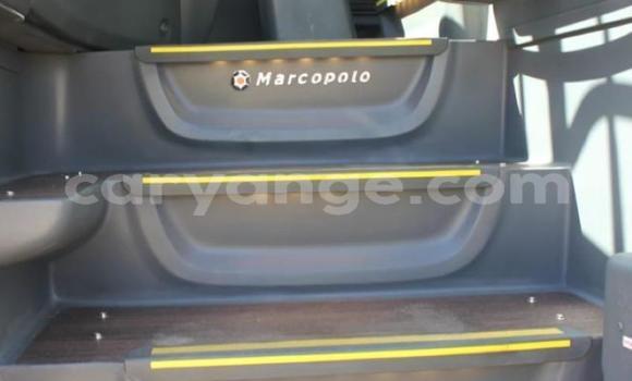 Buy New Mercedes‒Benz 1213 White Truck in Windhoek in Namibia Buy New Mercedes‒Benz 1213 White Truck in Windhoek in Namibia