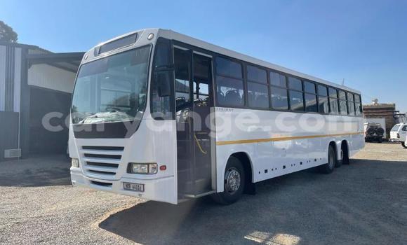 Buy Used Iveco Daily White Truck in Windhoek in Namibia Buy Used Iveco Daily White Truck in Windhoek in Namibia