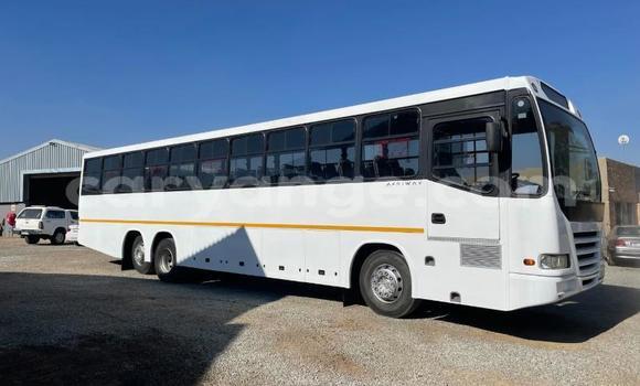 Buy Used Iveco Daily White Truck in Windhoek in Namibia Buy Used Iveco Daily White Truck in Windhoek in Namibia