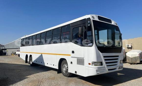 Buy Used Iveco Daily White Truck in Windhoek in Namibia Buy Used Iveco Daily White Truck in Windhoek in Namibia