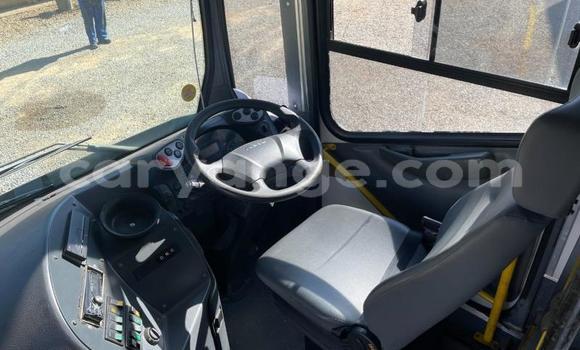 Buy Used Iveco Daily White Truck in Windhoek in Namibia Buy Used Iveco Daily White Truck in Windhoek in Namibia