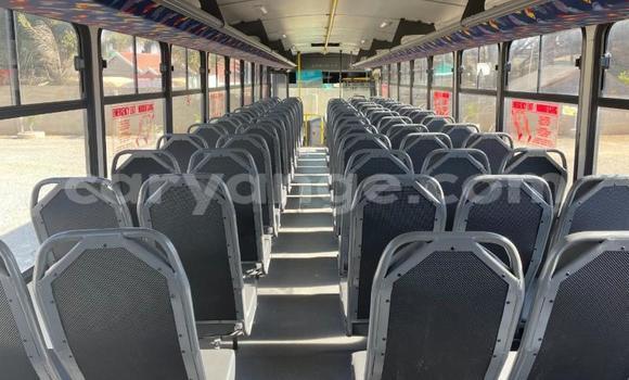 Buy Used Iveco Daily White Truck in Windhoek in Namibia Buy Used Iveco Daily White Truck in Windhoek in Namibia