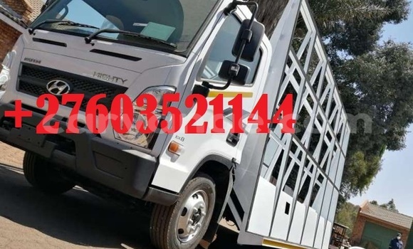 Buy Used Hyundai Chorus White Truck in Windhoek in Namibia