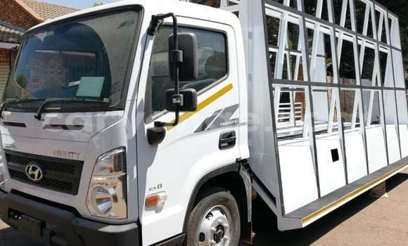 Buy Used Hyundai Chorus White Truck in Windhoek in Namibia Buy Used Hyundai Chorus White Truck in Windhoek in Namibia