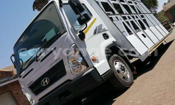 Buy Used Hyundai Chorus White Truck in Windhoek in Namibia Buy Used Hyundai Chorus White Truck in Windhoek in Namibia